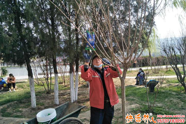土壤貧瘠用什么補營養？大樹營養液精華推薦與果樹養護指南